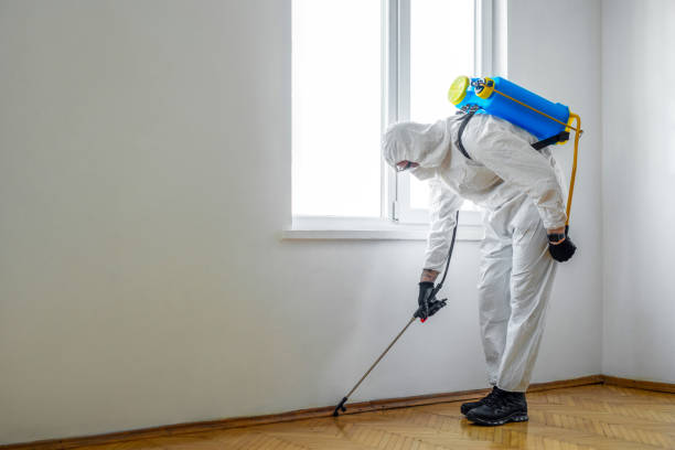 Indoor Pest Control in Herndon, VA